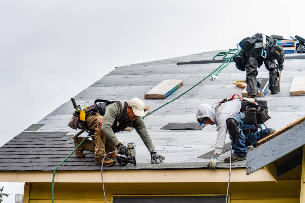 Professional Roofing technician working in Danville, WA